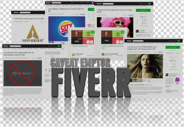 Ceveat Emptor Fiverr - 12-24 Inch Russian 100% True Virgin Remy Human Hair