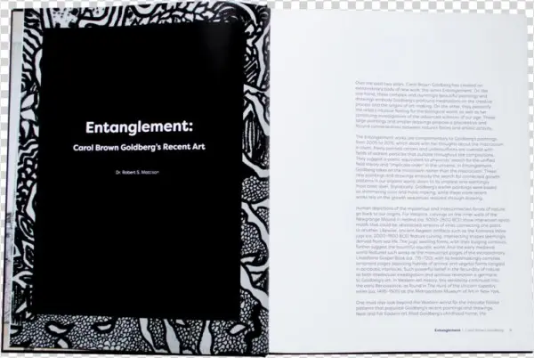 Dsc 7729 - Portable Network Graphics