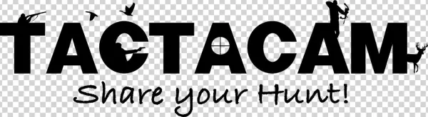 Dummies A Wiley Brand