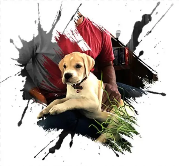 In His New Role As The Chief Welcome Officer, Mario - Nyx Butter Lipstick - Bls11 Licorice