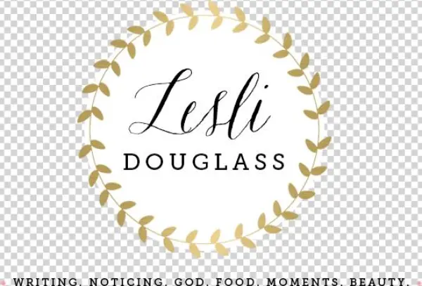 Lesli Douglass - Nanodegree