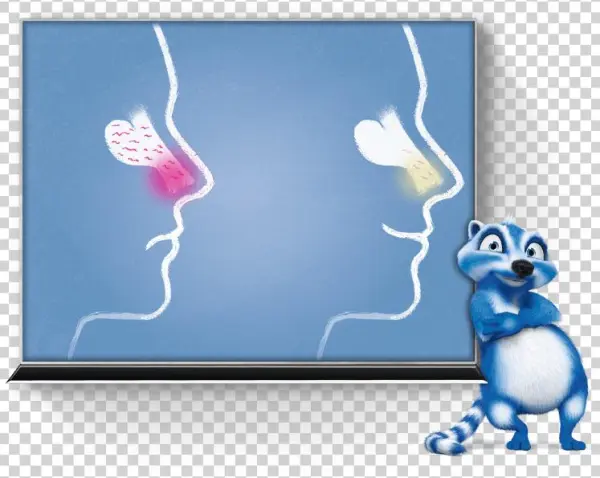 Maintaining The Health Of The Nose Should Therefore - Ursapharm Arzneimittel Gmbh