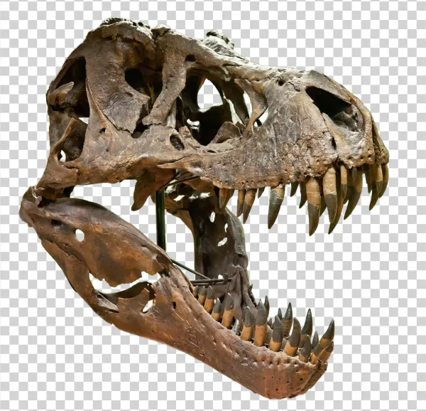 Photo Gallery All Photos