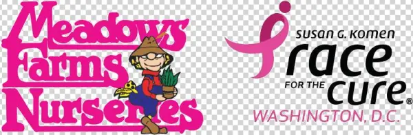 Pink Day - Komen Race For The Cure