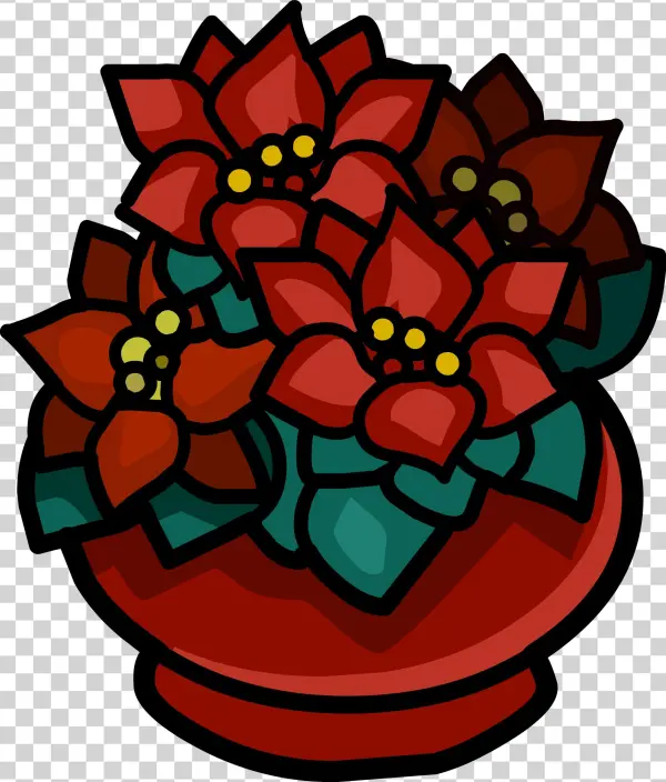 Potted Poinsettia - Poinsettia