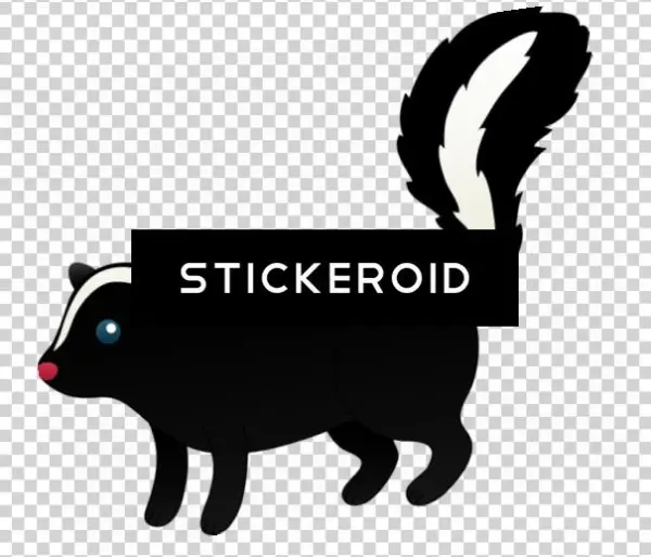 Skunk Animals - Illustration