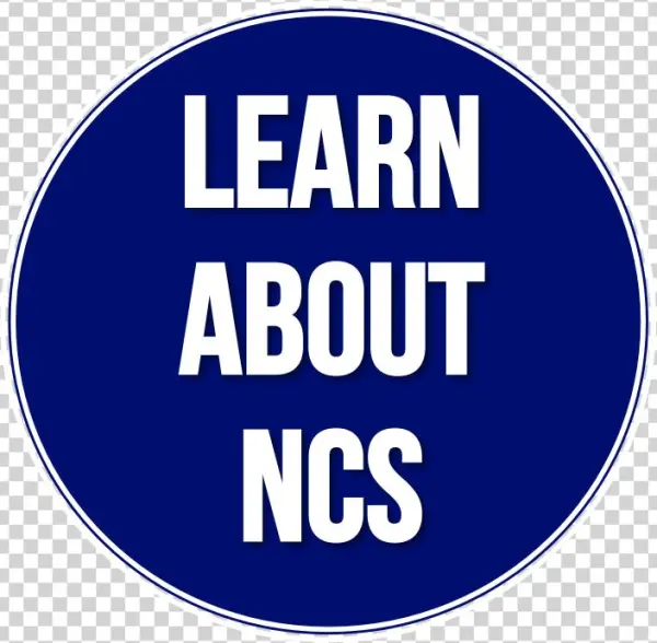 We Invite You To Explore Our Website To Learn More - Rabbit Banshee