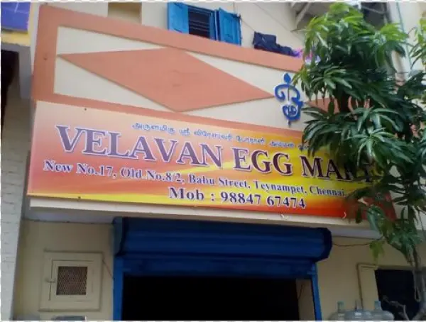 White Egg - Velavan Egg Mart