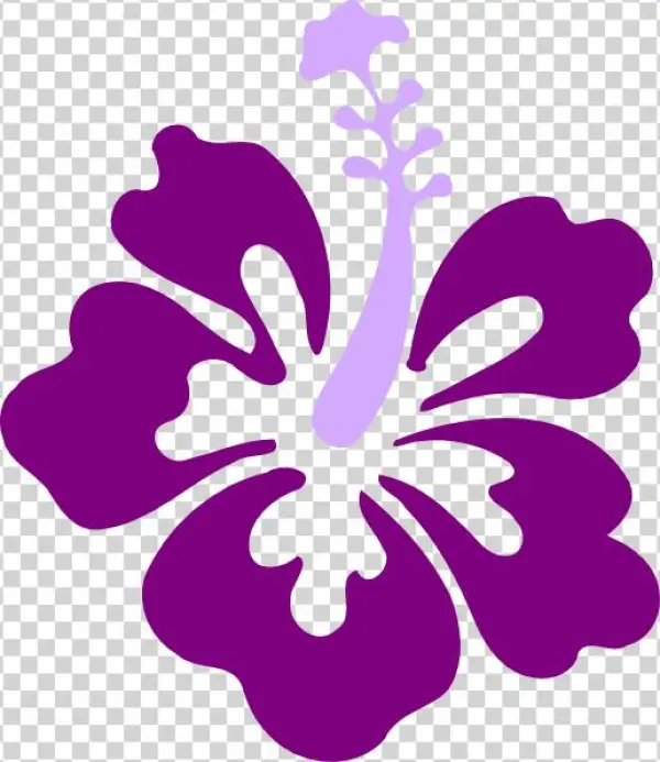 Buttercup Hawaii Hibiscus Clipped Art Clip At