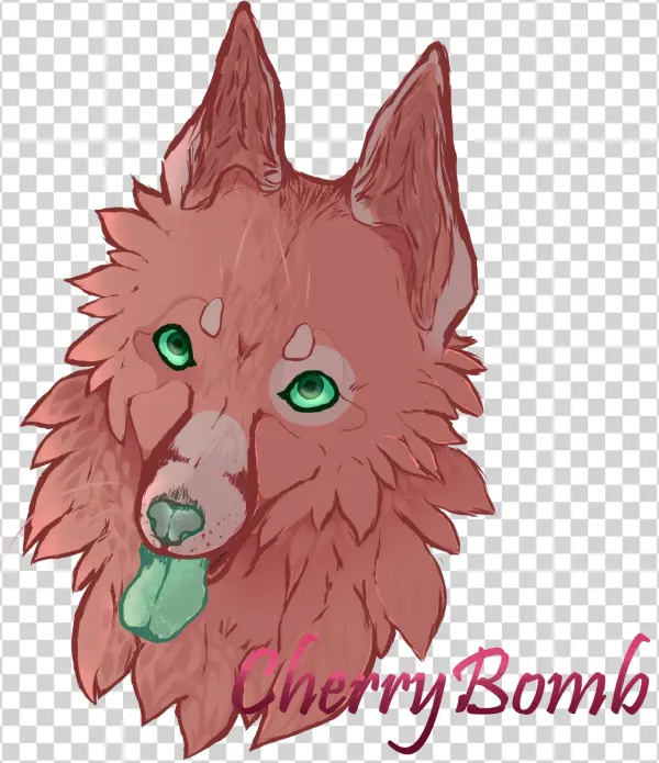 Cherrybomb Sig - Bamboo Cay