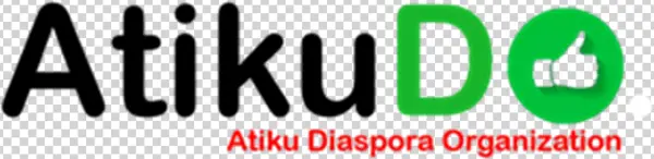 Prof Isa Odidi, The Director, Diaspora Directorate,