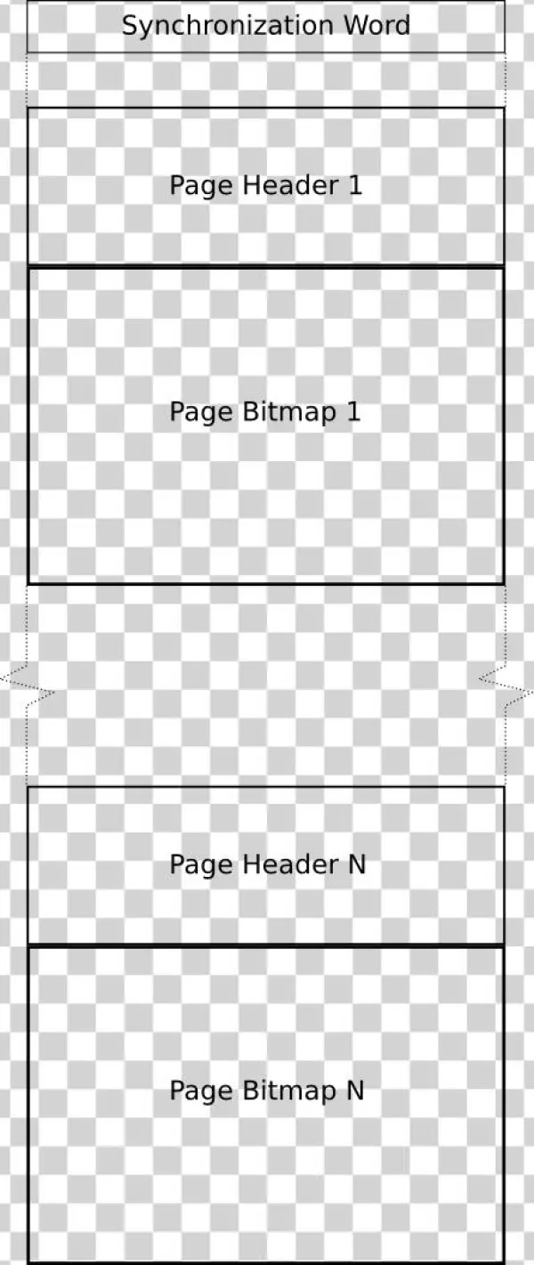 Raster Organization - Number