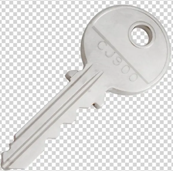 Ronis 0050 1 - Key