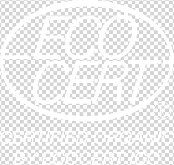 Company Information - Circle