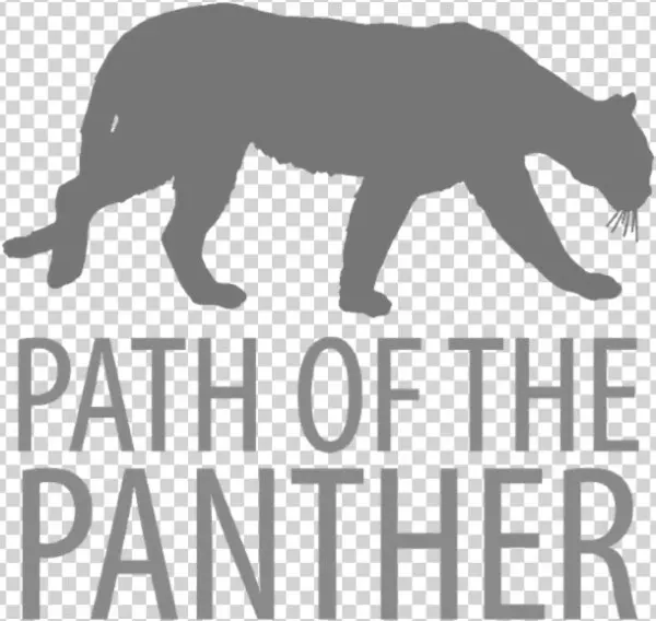 Confirm That You Like This - Grizzly Bear