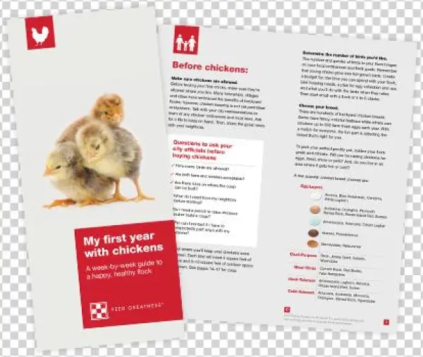 Download Now - Chicken