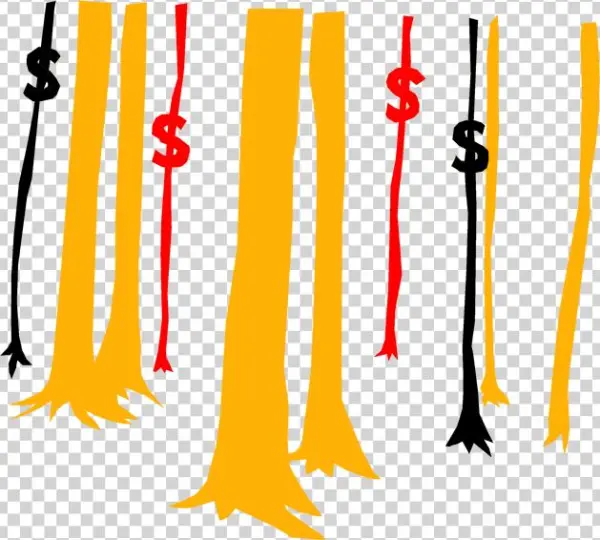 Financial Health Check