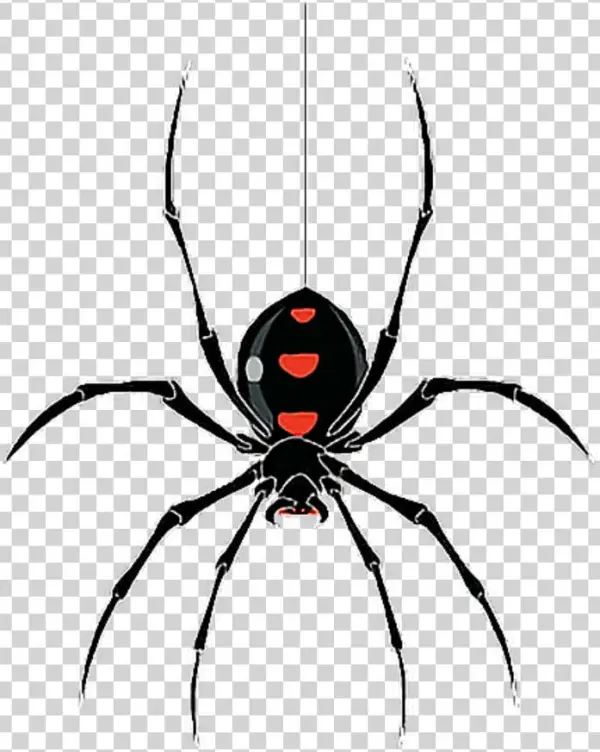Free Image Spider