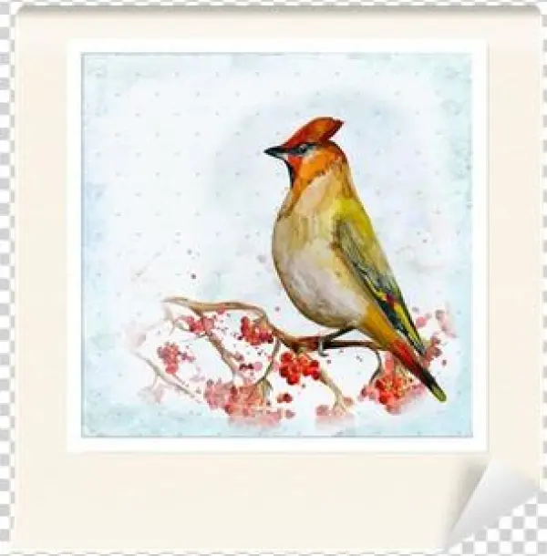 Gallery Direct Watercolor Vector Illustation Of Bird