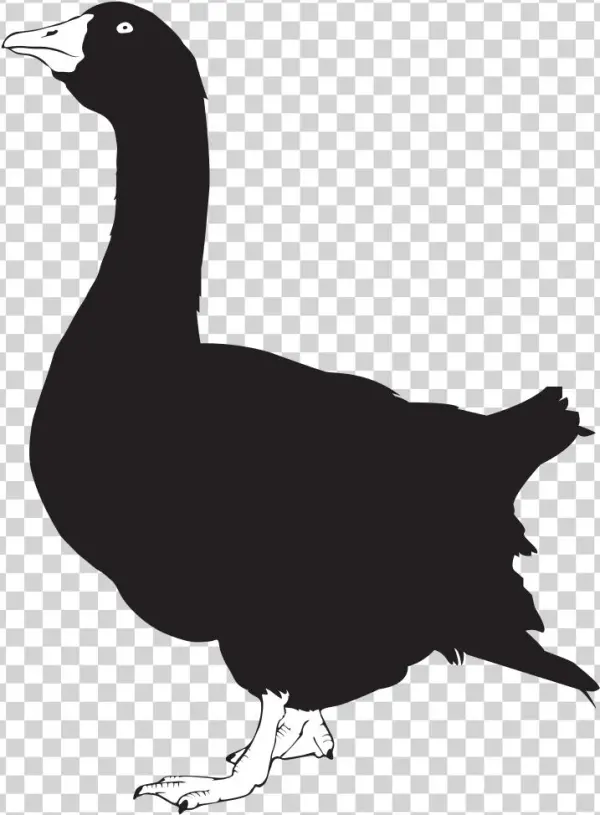 Goose Silhouette - Goose Silhouette Png