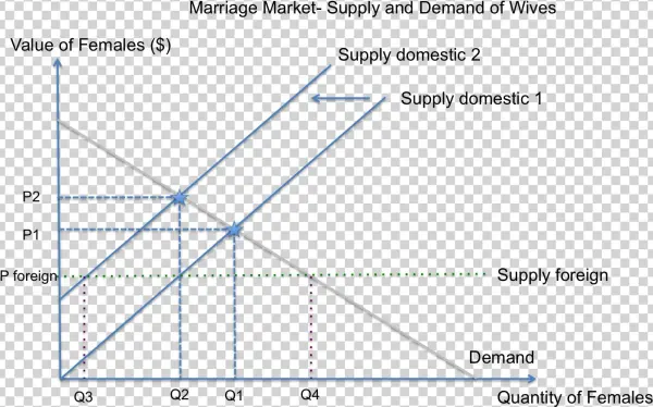 Marriage Market- Supply And Demand Of Wives In India - Diagram