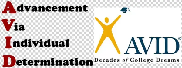 Picture - Avid Program