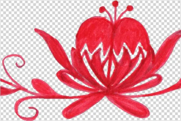 Pink Flower Clipart Divider - Motif