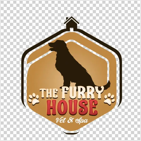 Se Busca Peluquero Canino, Estilista, Groomer - House