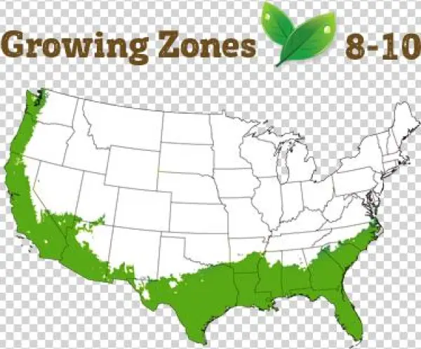 Shipping Restriction - Salem Massachusetts On A Map