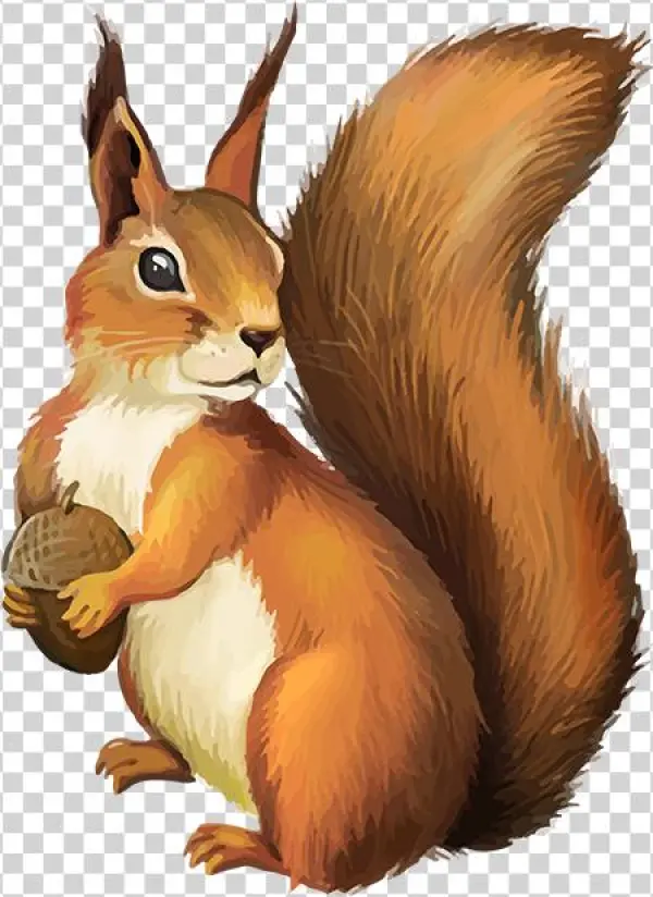 Tubes Écureuils - Funny Custom Ceramic Coffee Mugs Printed Squirrel Whisperer