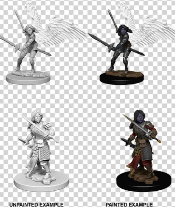 Wzk73343 Aasimar Paladin $4 - Nolzur's Marvelous Miniatures Aasimar