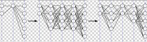 A Network Is First Growing And Then Pruning In Order - Circle