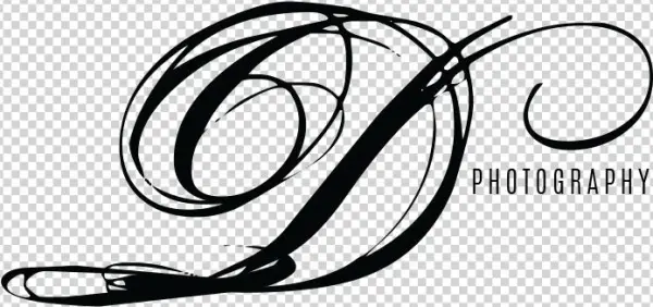 Carpe Diem, Premium Art Print (distressed Khaki)