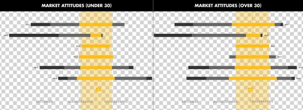 Dewalt Psychographics - Psychographics