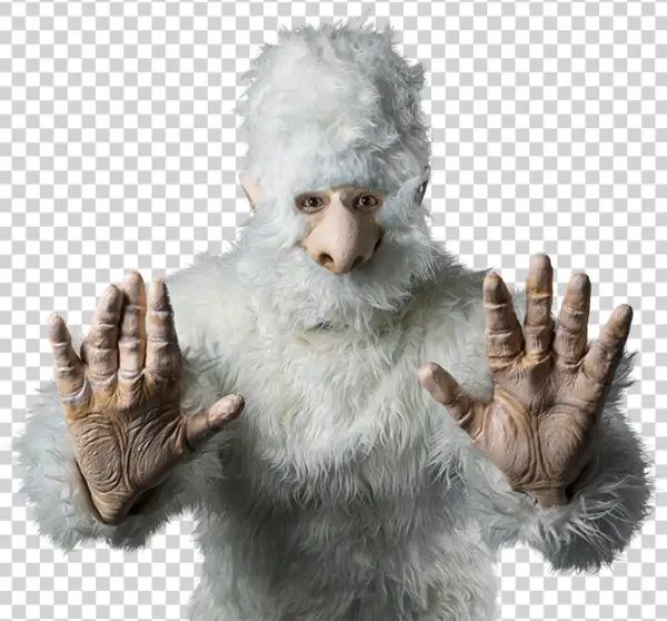 How To Photograph And Outline Hair - Yeti With No Background