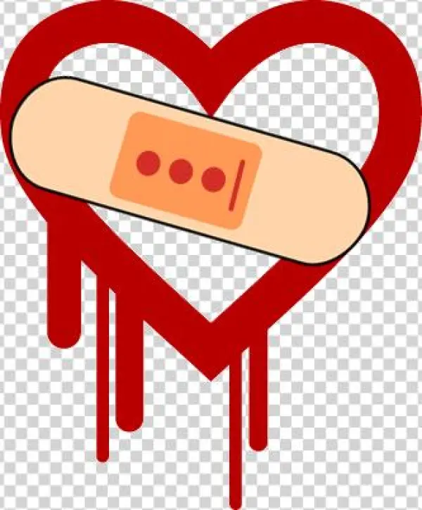Lastpass Google - Heartbleed Bug