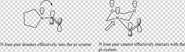 Modulating Enamine Nucleophilicity Via Stereoelectronicand - Diagram