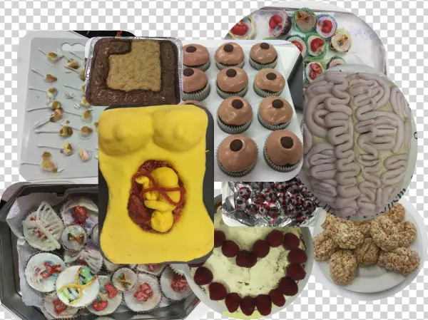 0 Replies 4 Retweets 4 Likes - Pignolo