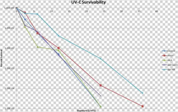After Each Exposure, A Dilution Spot Assay Was Conducted - Dna