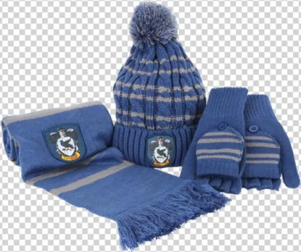 Ravenclaw Hat