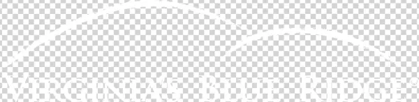 Roanoke Valley Logo - Poster