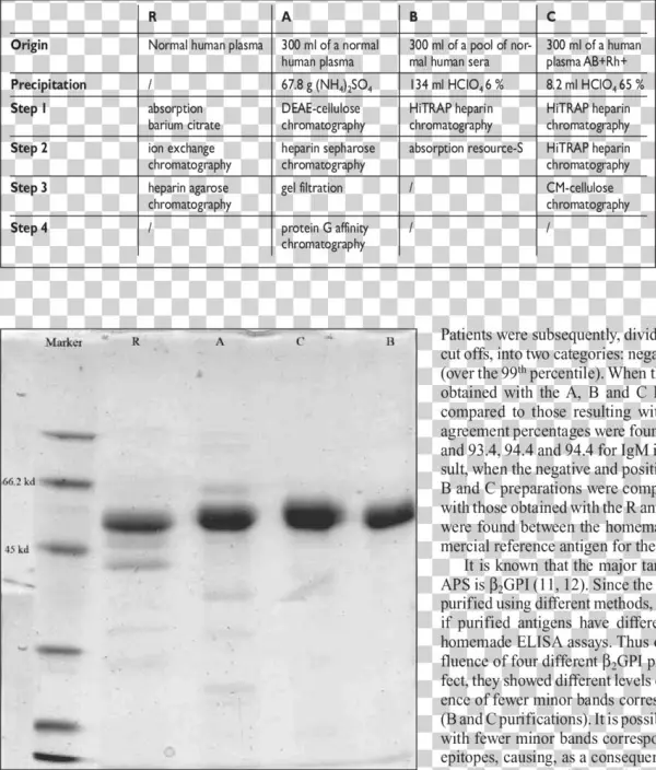 Sds/page Of Different Β2gpi Preparations - Document