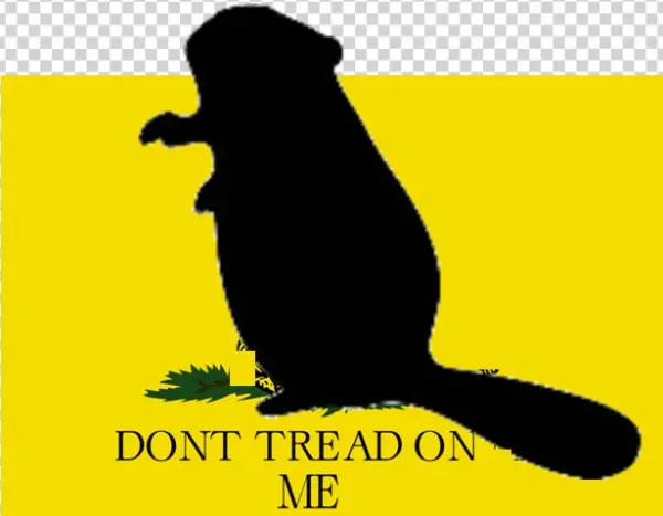 Texas - Dont Tread On Me Flag