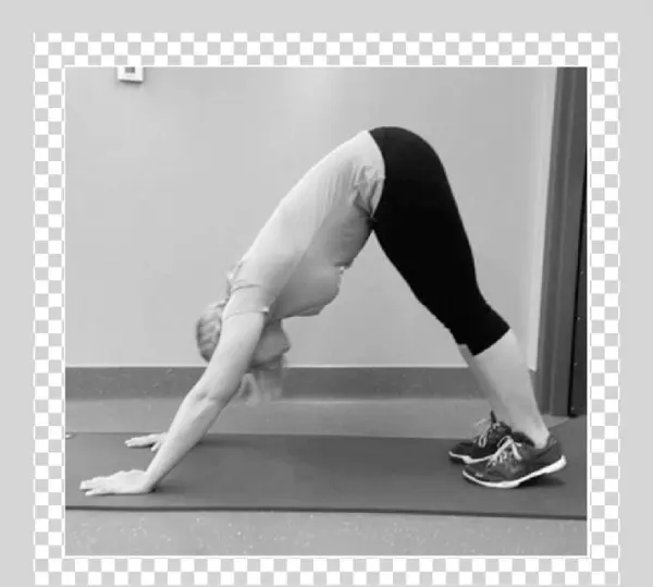Traditional Pike - Press Up