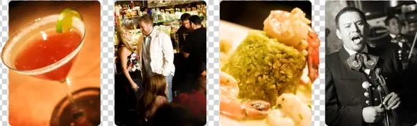 Welcome - Favela's Fusion