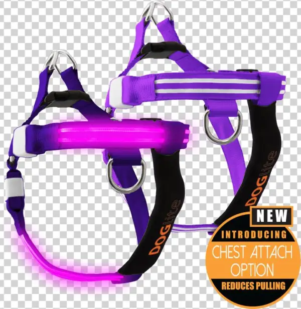 Double Trouble Led Dog Harness - Dog