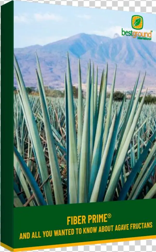 Download - Photography