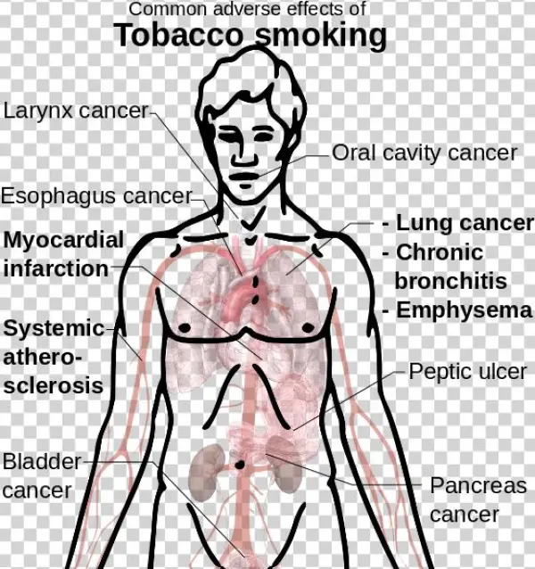 Drawn Cigarette Effect Tobacco