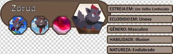 Equipe Atual - Black Cat