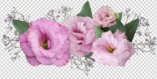 Flower-3029456 960 - ลาย ดอกไม้